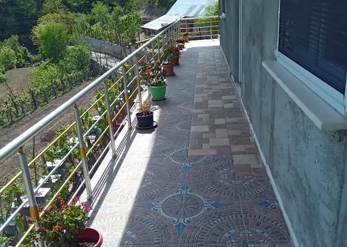 Bujtina Aliaj * Tropoje