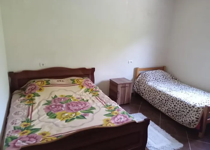 Bujtina Aliaj Guest house Tropoje