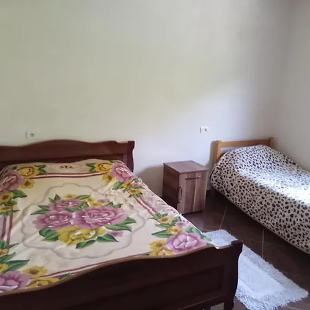 Bujtina Aliaj 招待所 Tropoje